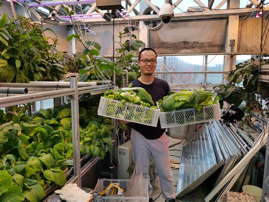 Doctor grows vegetables for Antarctic team