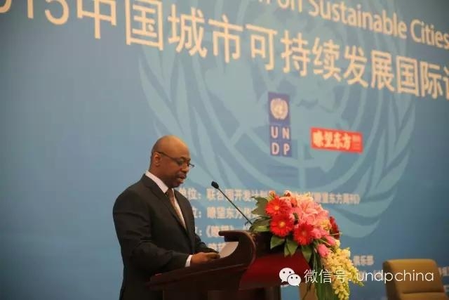 联合国开发计划署代表 联合国开发计划署代表