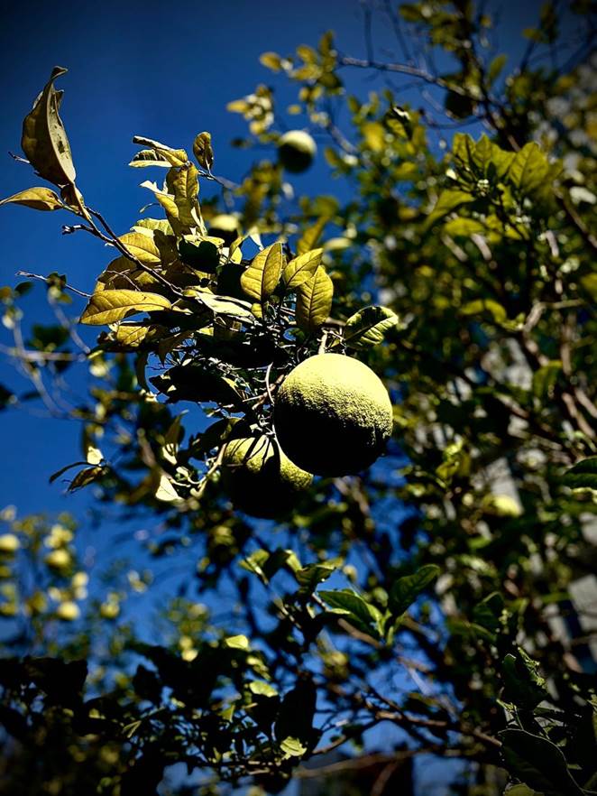 /images/article/202010080908339342.jpg