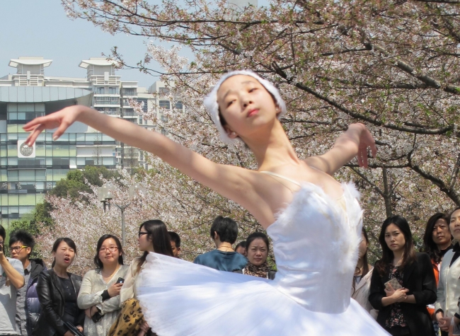 樱花