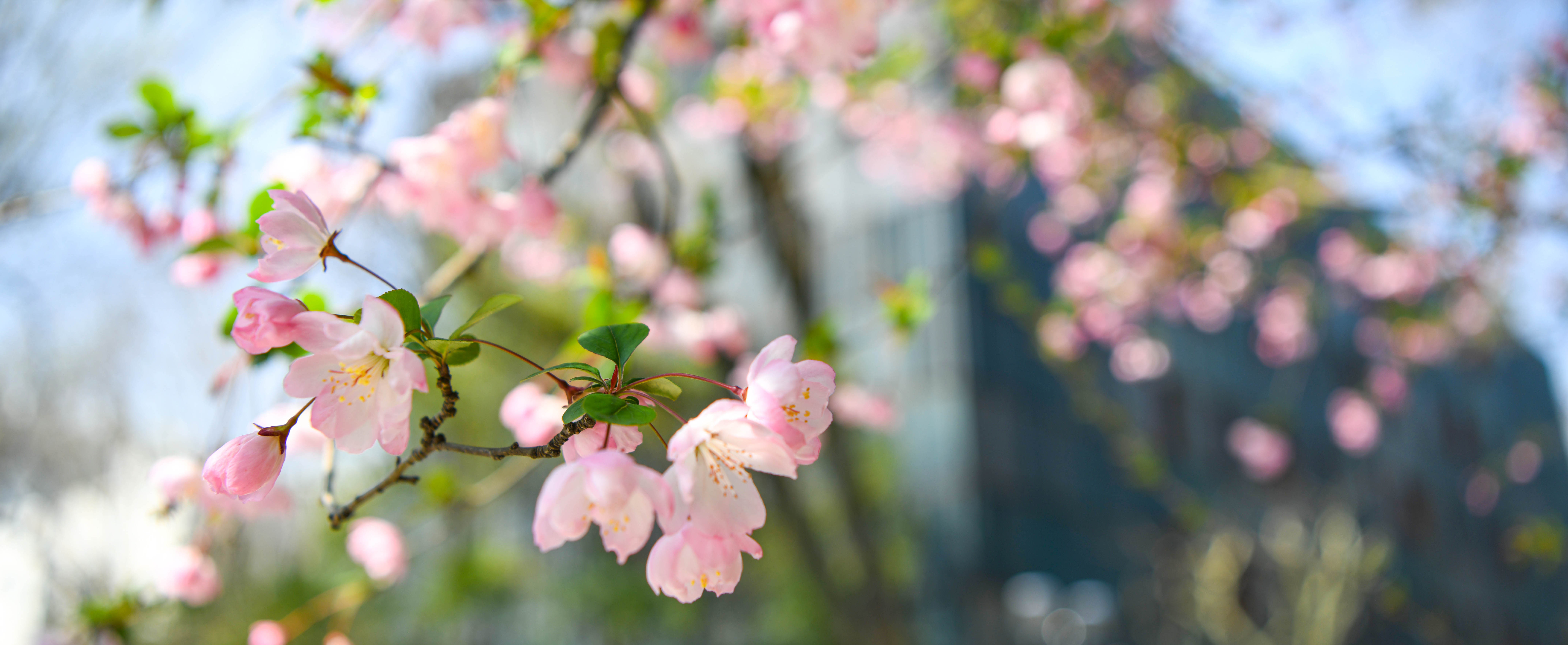 同济大学 同济大学